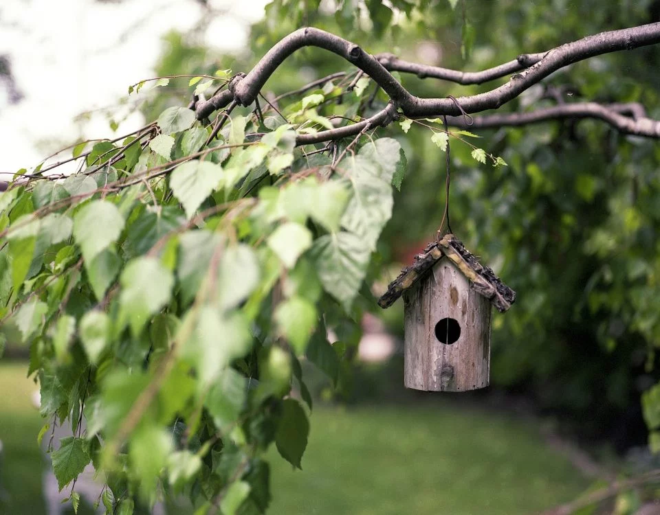Casa Rural La Alameda - Imagen 4