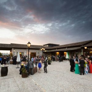 Olivar de Santa Teresa